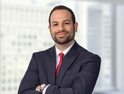 Ezzat M. Nsouli bio thumbnail